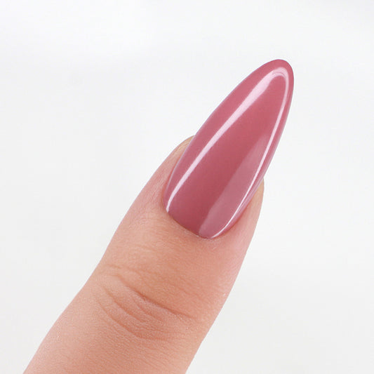 Dried Roses #PROD027