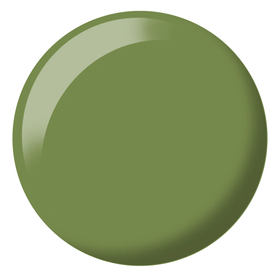 Safari #324