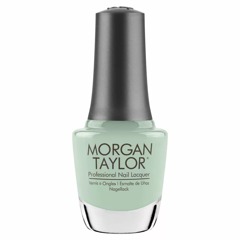 MINT CHOCOLATE CHIP #50085