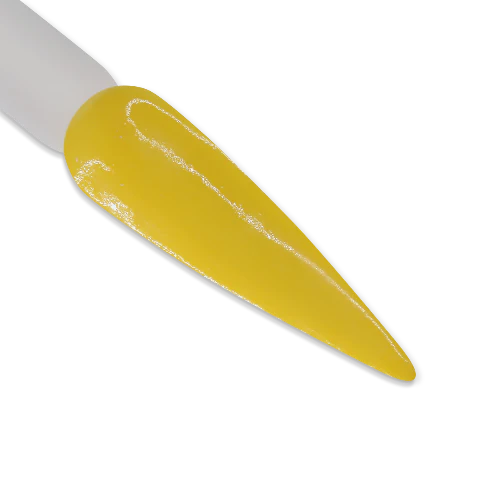 iGel Gel & Polish Duo, DD225 - We Bee-long Together