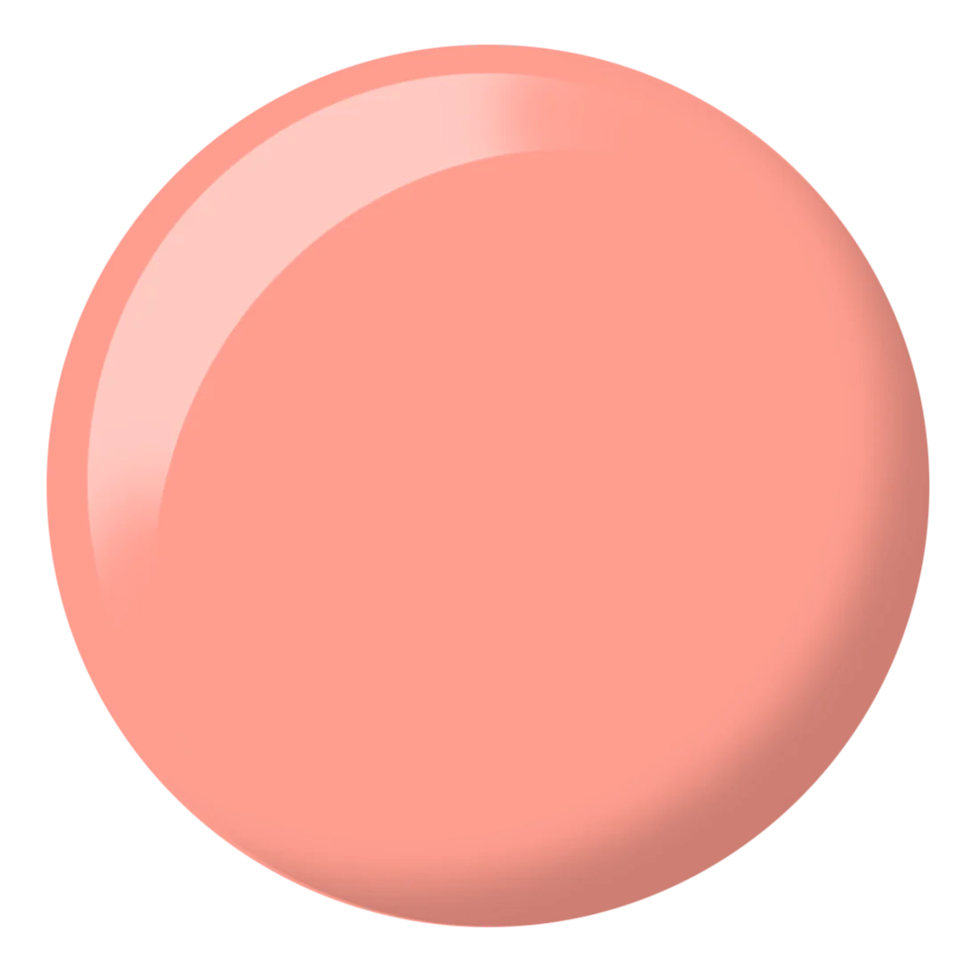 Coral Rose DIVA #143