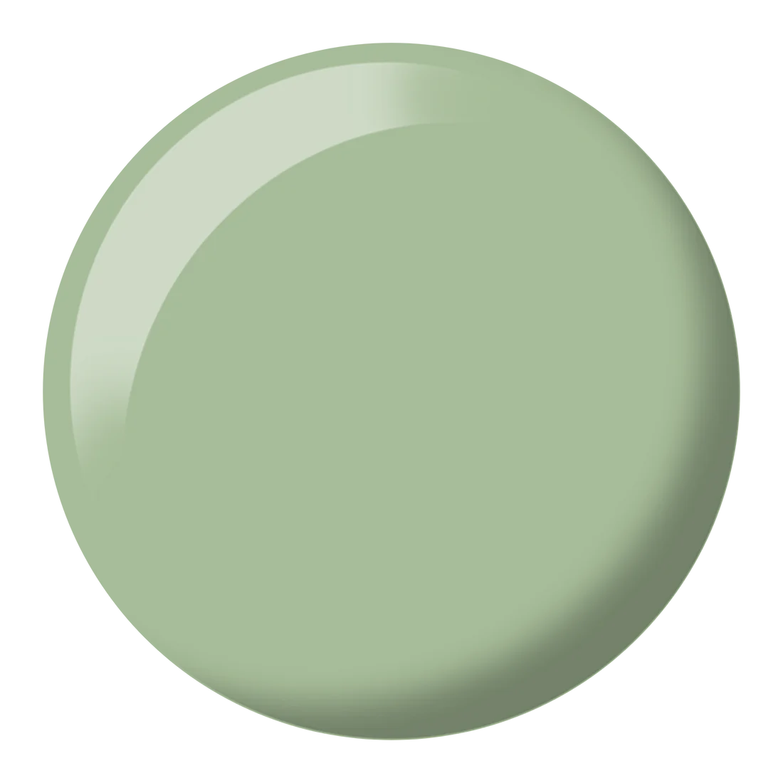 Foggy Fern DIVA #277