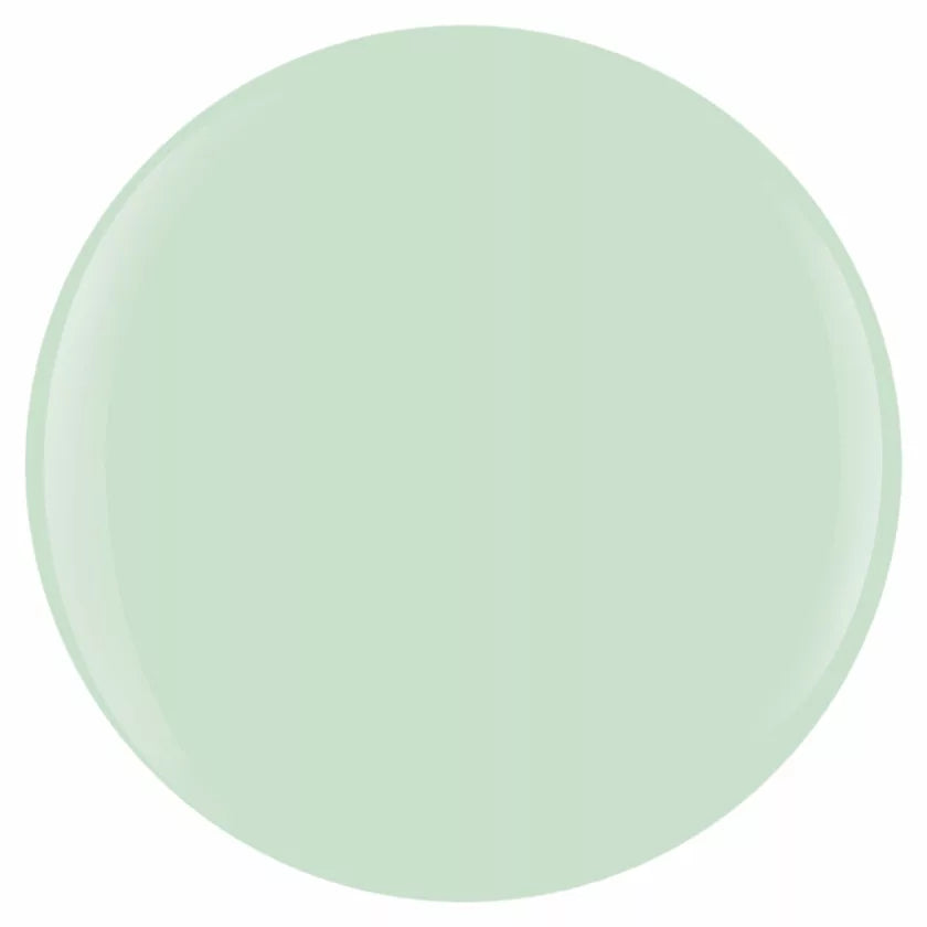 MINT CHOCOLATE CHIP #50085