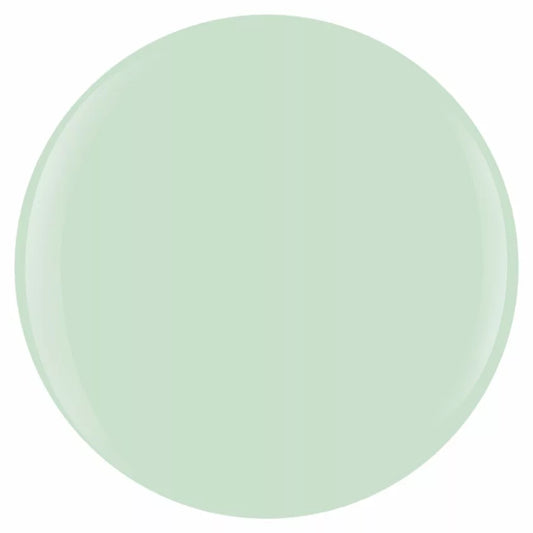 MINT CHOCOLATE CHIP #50085