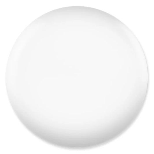 Snow Flake #448